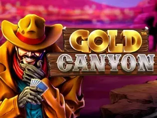 Gold Canyon game cover